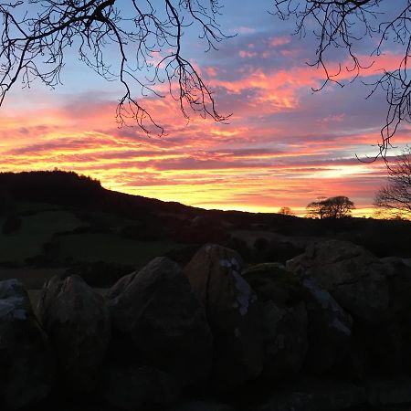 Slievemoyle Cottages Raholp 外观 照片