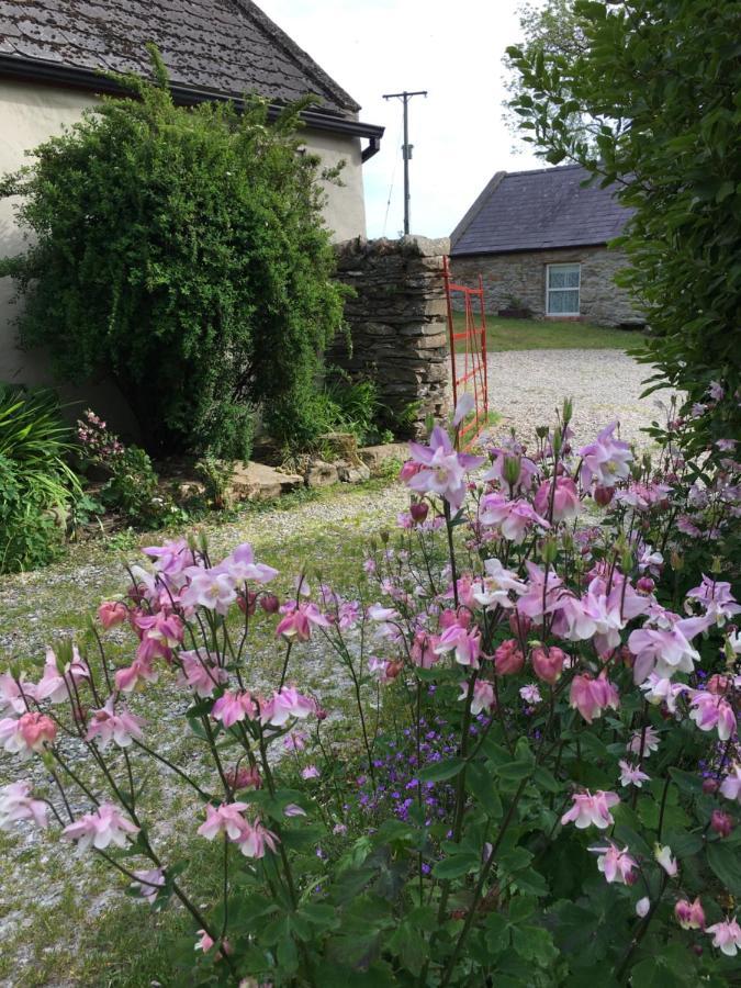 Slievemoyle Cottages Raholp 外观 照片