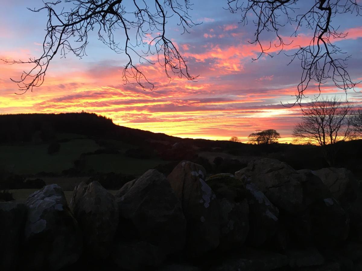 Slievemoyle Cottages Raholp 外观 照片