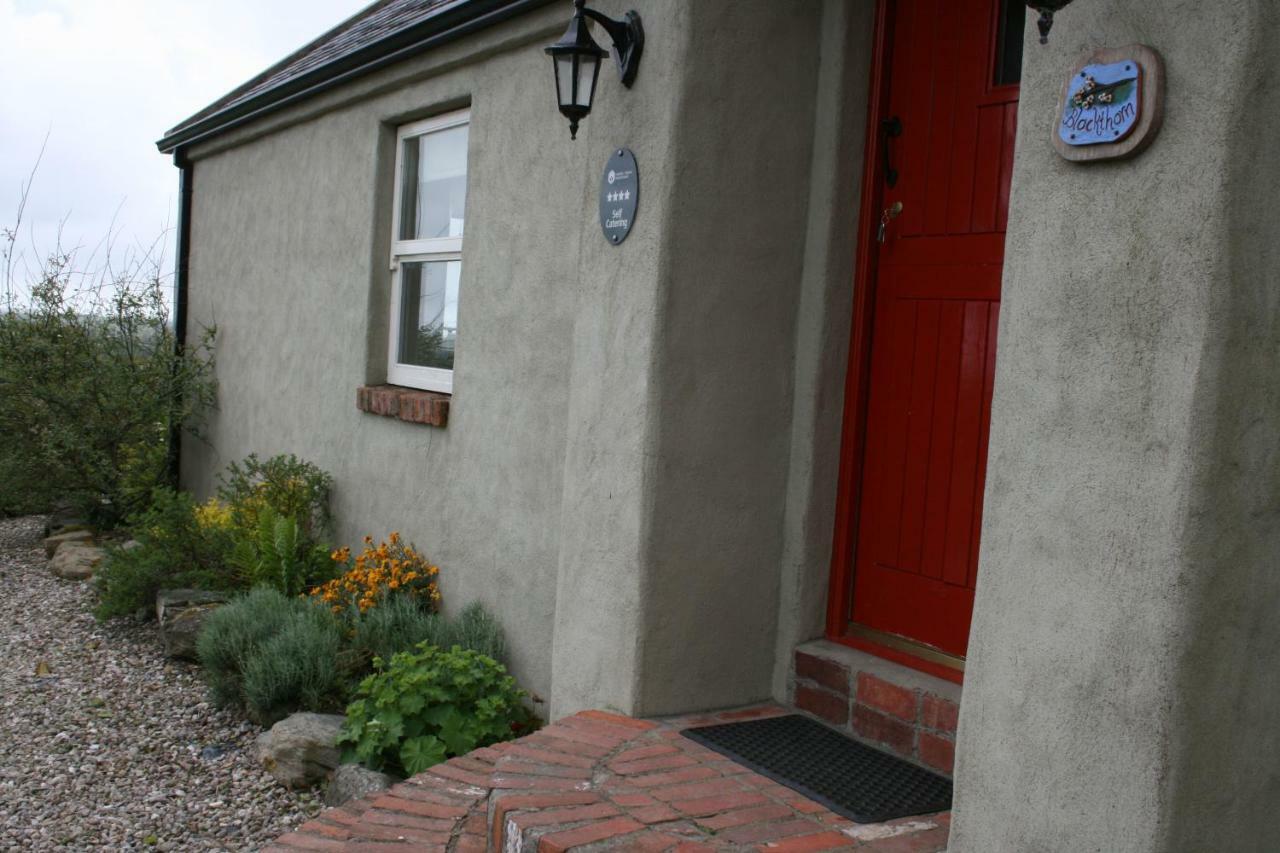 Slievemoyle Cottages Raholp 外观 照片